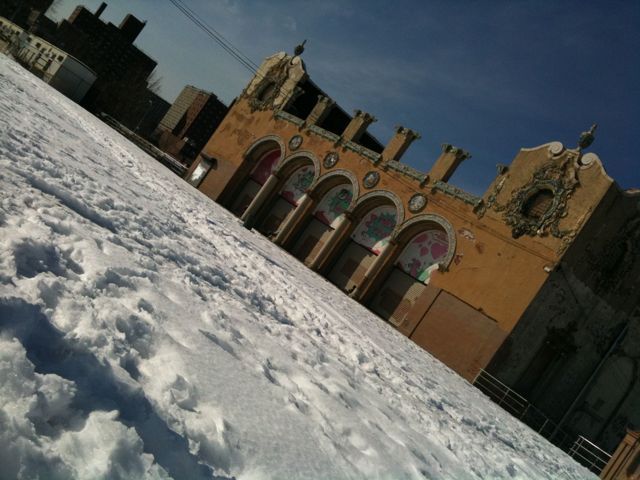 Hibernating Dreamland in the Sunny Snow!