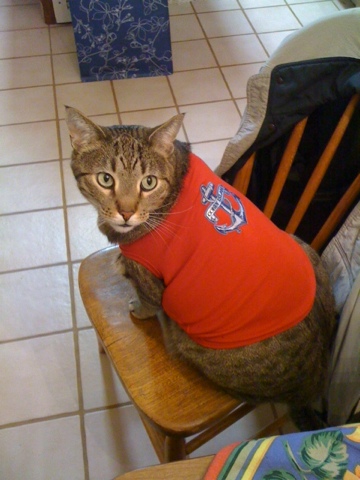 Kimono Lovin’ Cats also Love Lola Star Tees!