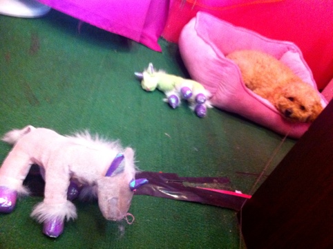 Just Follow the Trail of Chewed Up Unicorns….