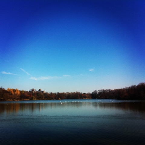 Happy Thanksgiving from Beautiful Brooklyn!