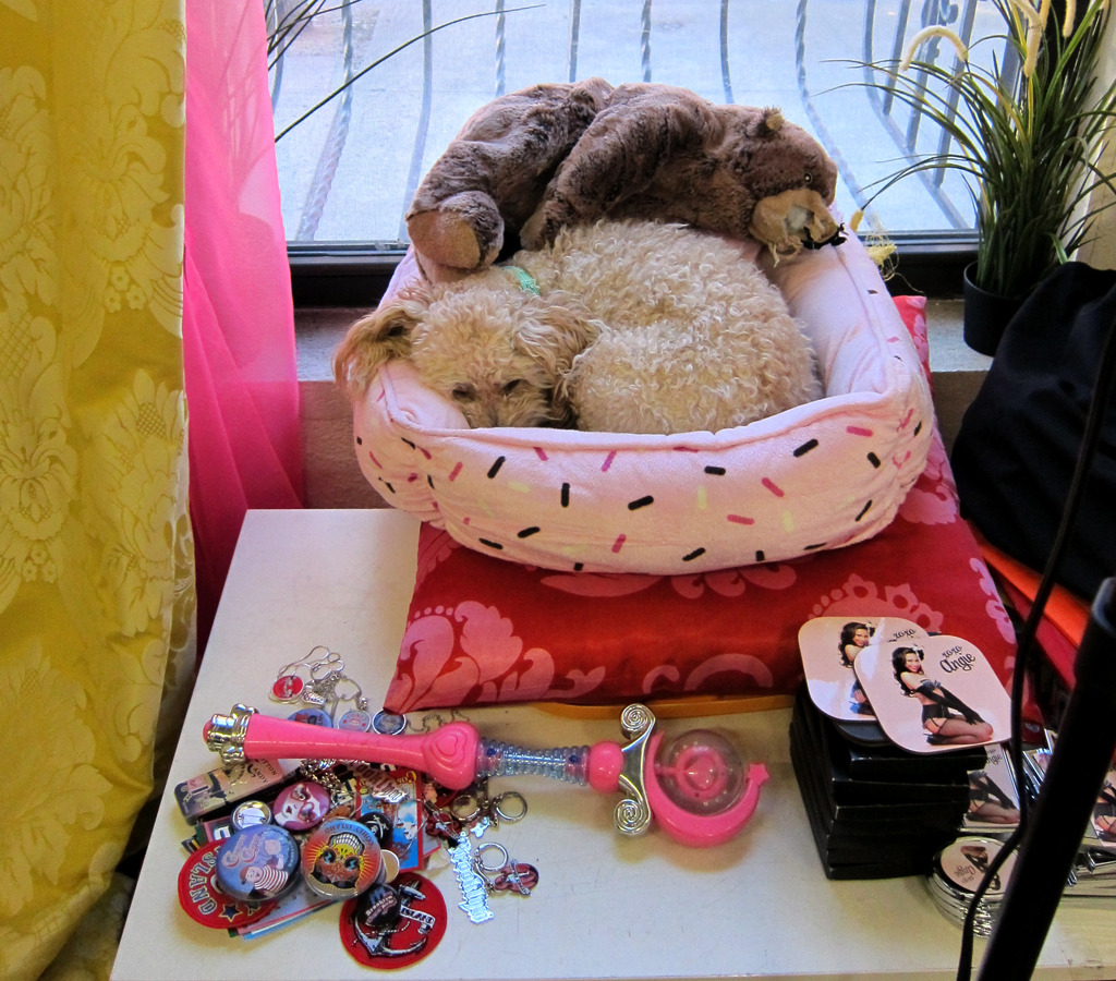 An Art Director Doggie’s Work is Never Done!