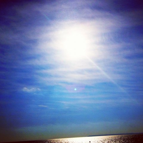 Open Today Till 4pm!