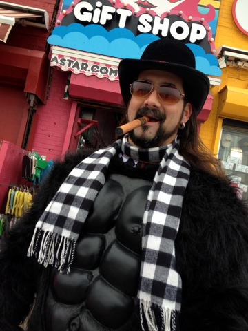 New Years Day Gorilla Going for a Polar Bear Dip!