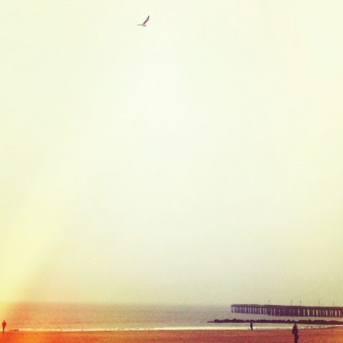 Fog Horns & Crashing Waves