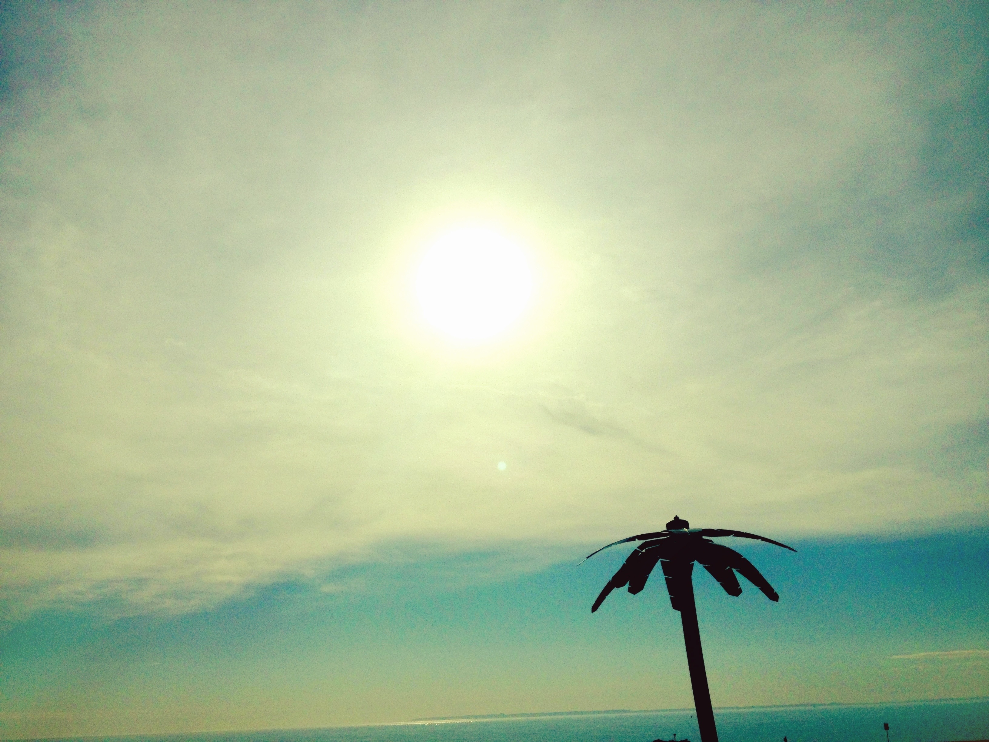 Last Minute Holiday Shopping