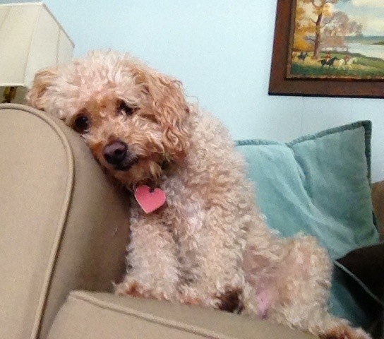 Shimmer Partied Like A Rock Star!