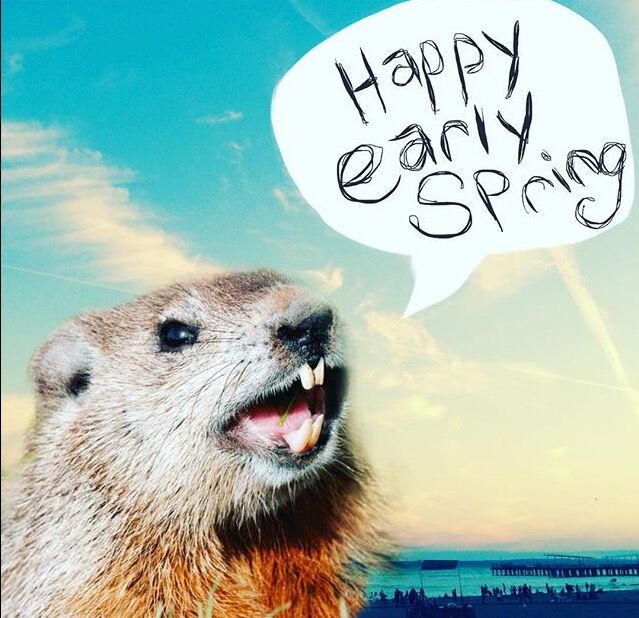 Happy Groundhog Day!