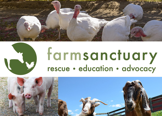 Farm Sanctuary