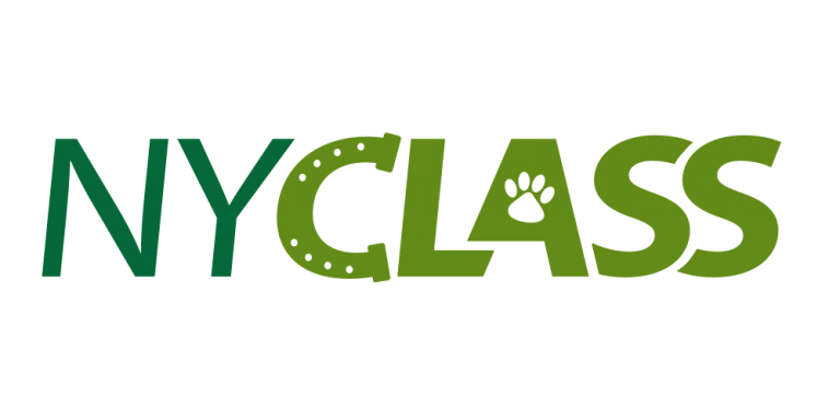 NYCLASS Stopping NYC Horse Abuse