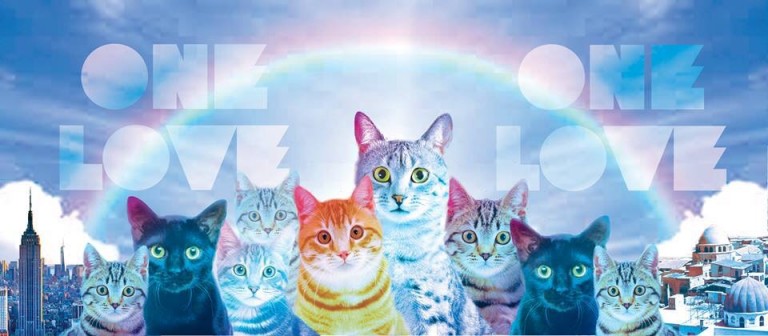 One Love for the Cats of Syria