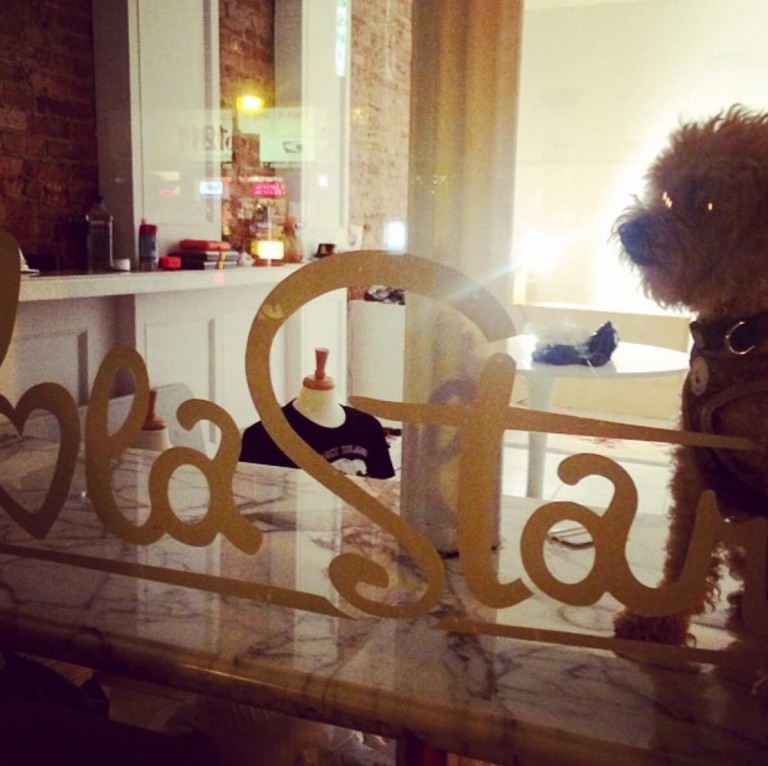 Life’s a big roll coaster ride!