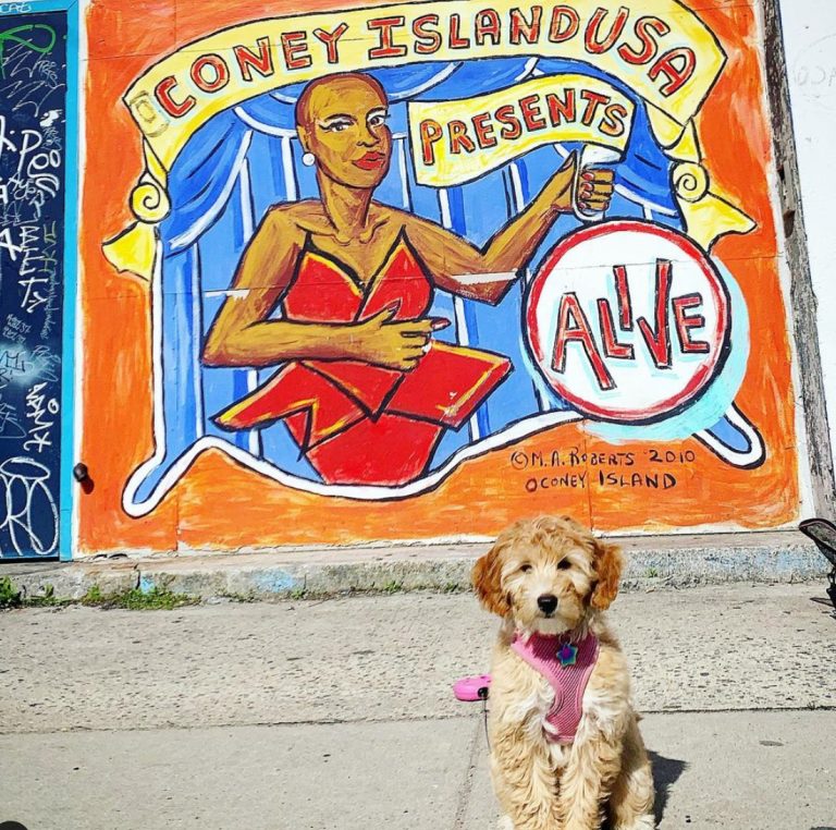 Happy Mother’s Day From Lola And Dazzle!