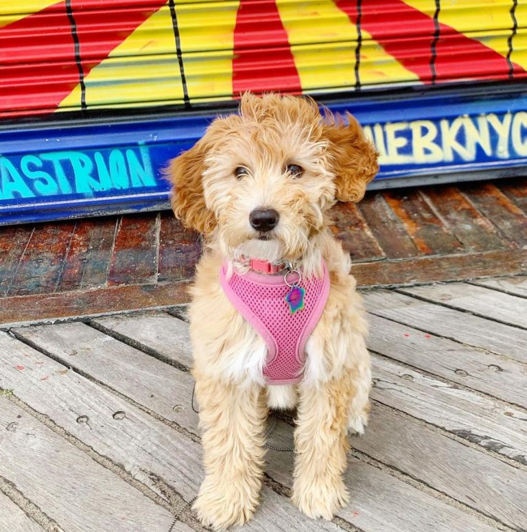 Dazzle Reporting To Work!